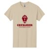 Heavy Cotton 100% Cotton T Shirt Thumbnail
