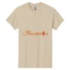 Heavy Cotton 100% Cotton T Shirt Thumbnail