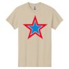 Heavy Cotton 100% Cotton T Shirt Thumbnail