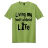 Softstyle ® T Shirt Thumbnail