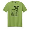 Softstyle ® T Shirt Thumbnail