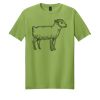 Softstyle ® T Shirt Thumbnail