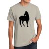 Unisex CVC Tee Thumbnail