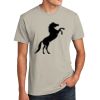 Unisex CVC Tee Thumbnail