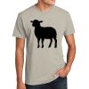 Unisex CVC Tee Thumbnail